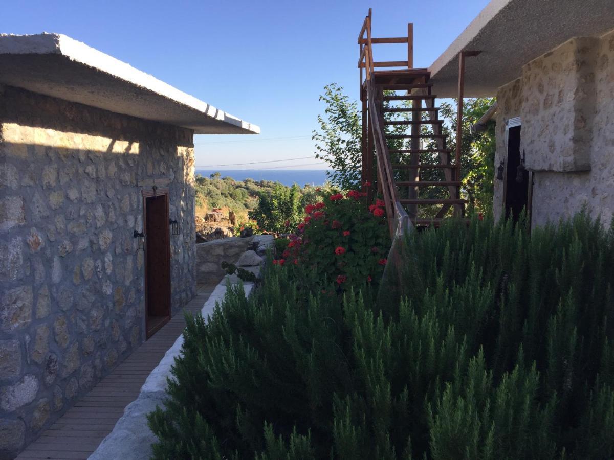 Beso Patara Hotel Exterior photo